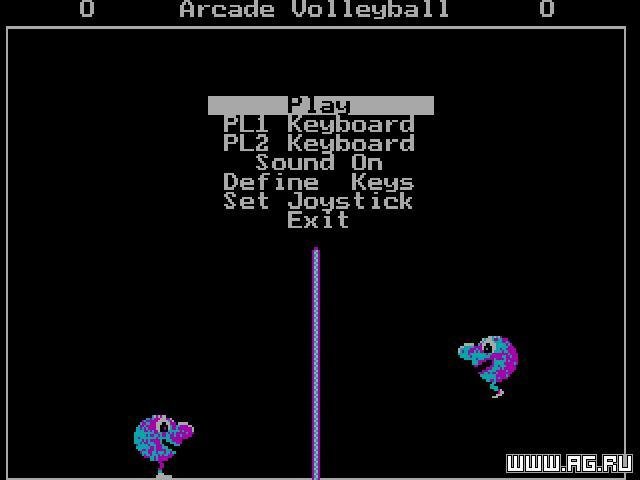 Portada de Arcade Volleyball