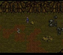 Portada de J.R.R. Tolkien's The Lord of the Rings, Vol. I