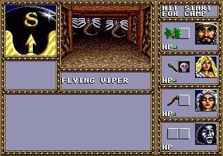 Portada de Dungeons & Dragons: Warriors of the Eternal Sun