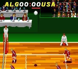 Portada de Dig & Spike Volleyball