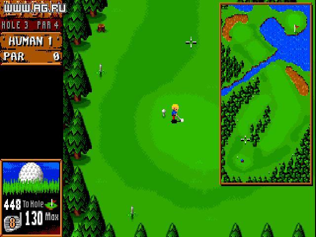 Portada de Sensible Golf