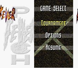 Portada de Fever Pitch Soccer