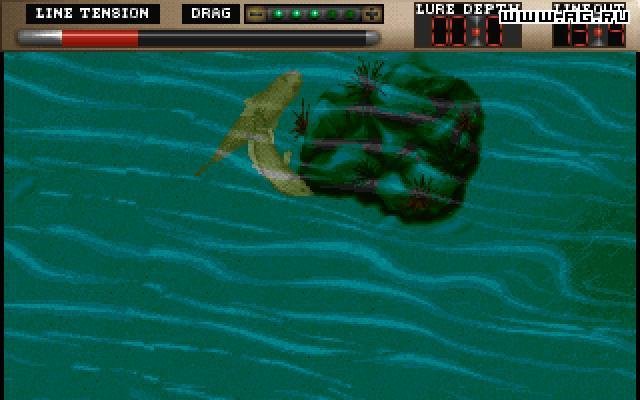 Portada de TNN Outdoors Bass Tournament '96