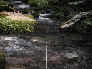 Portada de Reel Fishing (1996)