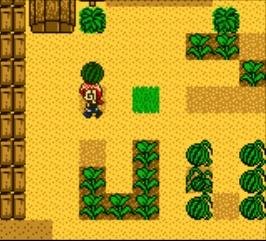 Portada de Harvest Moon 2 GBC (1999)