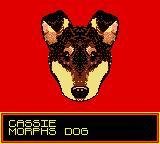 Portada de Animorphs