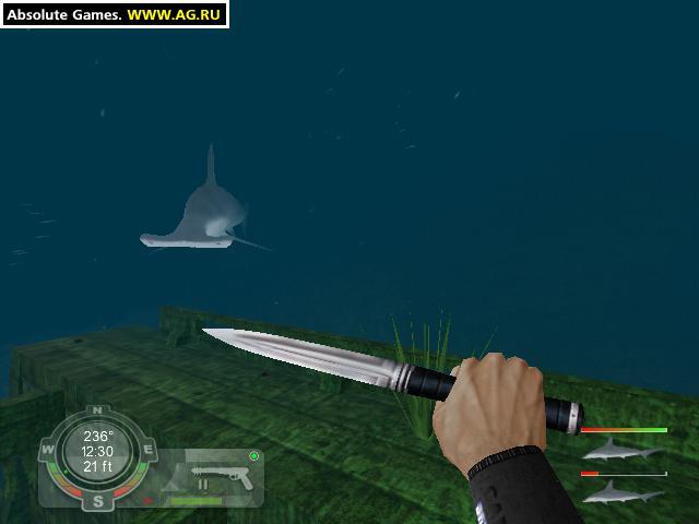 Portada de Shark! Hunting the Great White