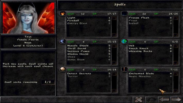 Portada de Wizardry 8