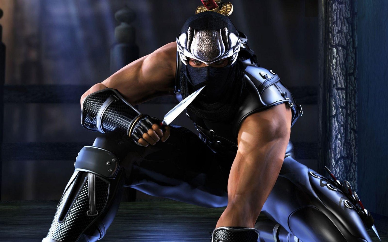 Portada de Ninja Gaiden (2004)