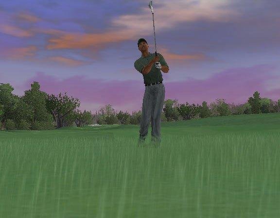 Portada de Tiger Woods PGA Tour 2005