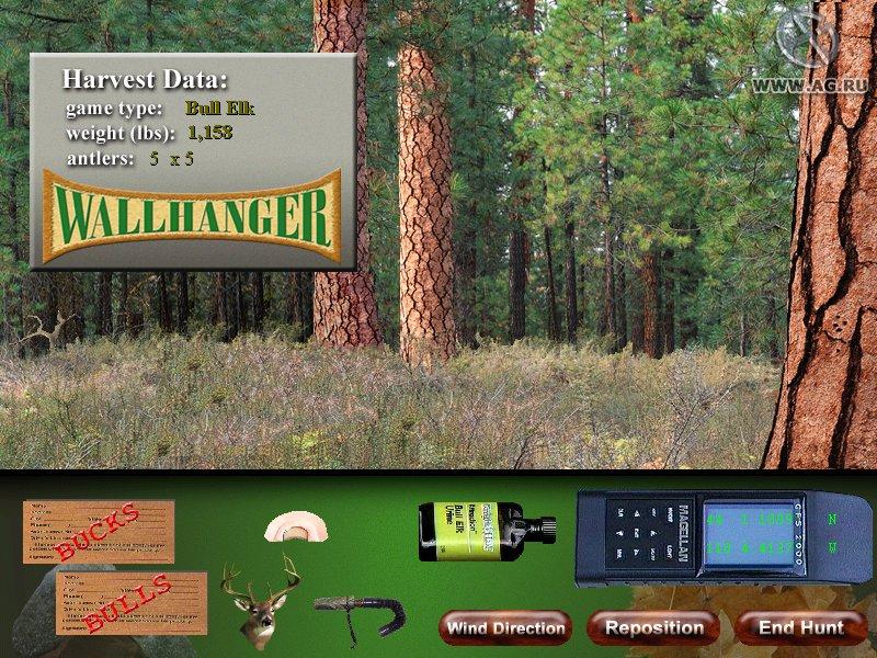 Portada de Wall Hanger