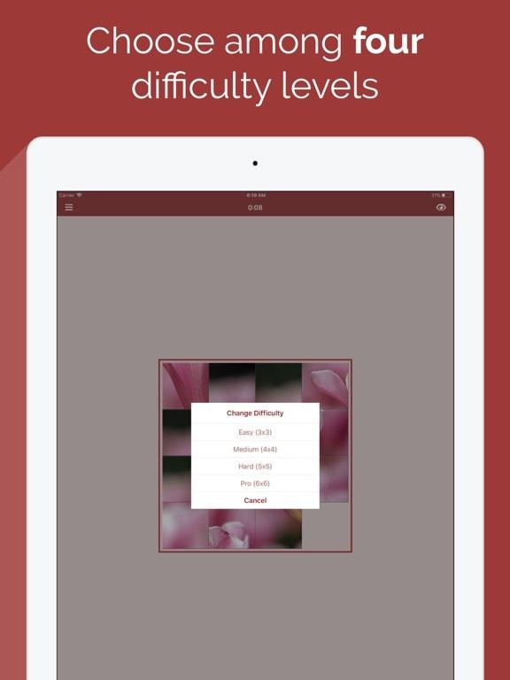 Portada de Tiles Puzzle (15 puzzle)