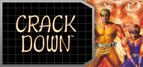 Portada de Crack Down (PC)