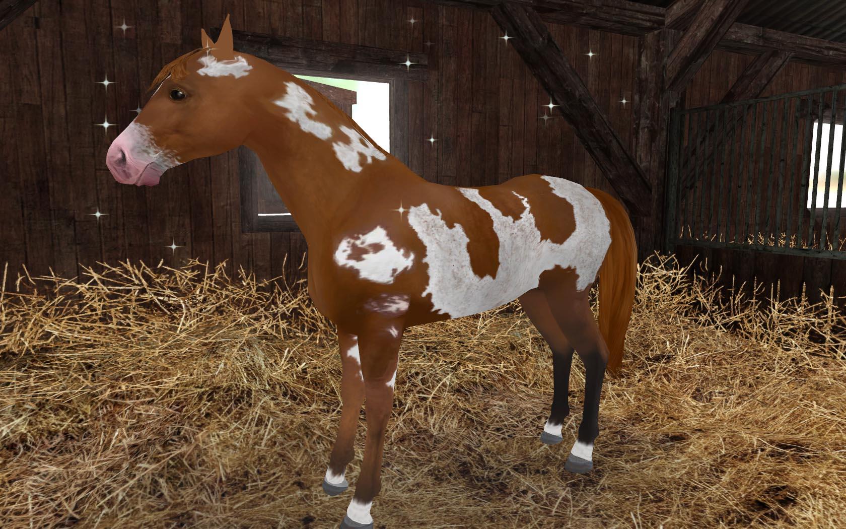 Portada de Planet Horse