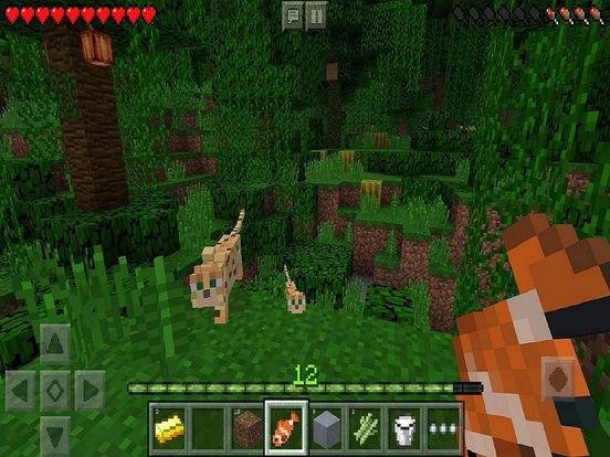 Portada de Minecraft: Pocket Edition
