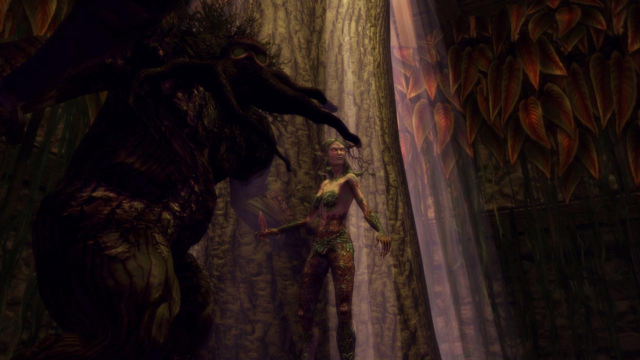 Portada de Dungeons & Dragons Online