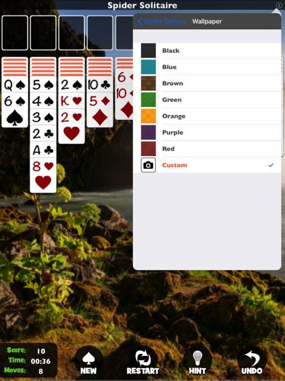 Portada de Spider Solitaire [Pokami]