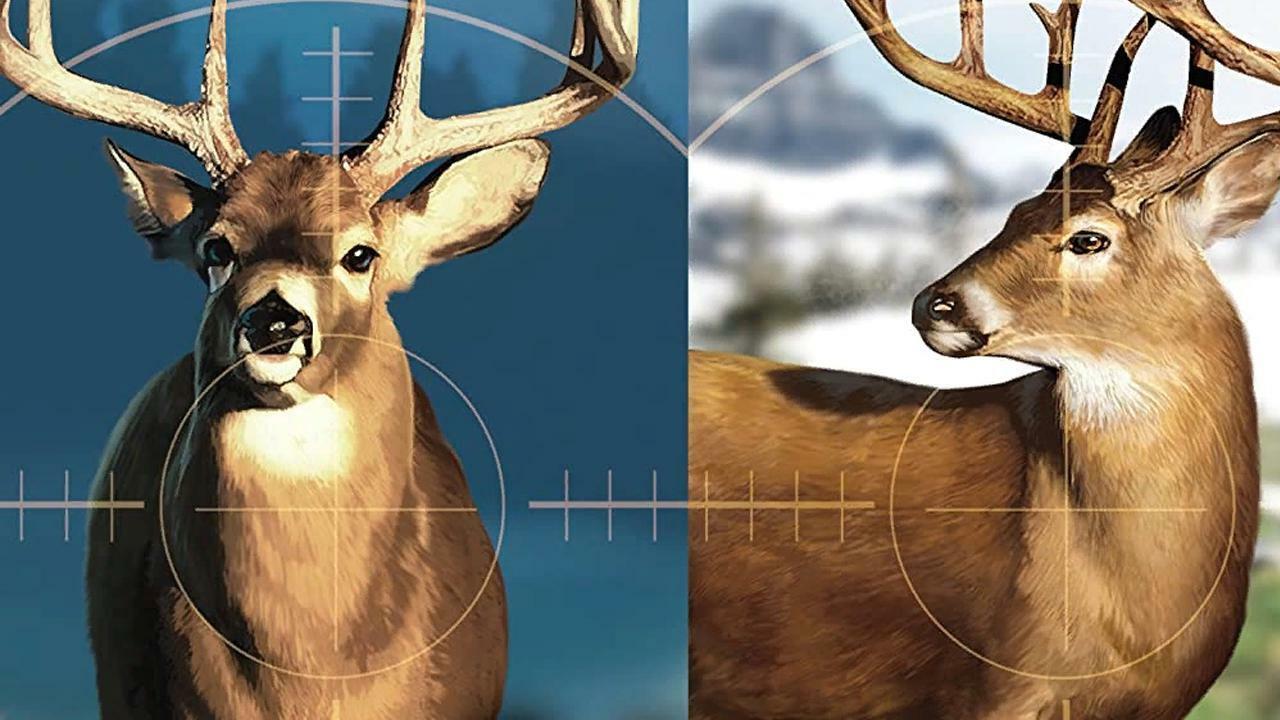 Portada de Cabela's Hunting Expeditions