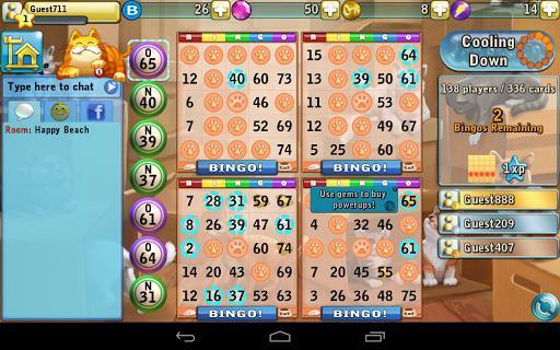 Portada de Bingo Cats