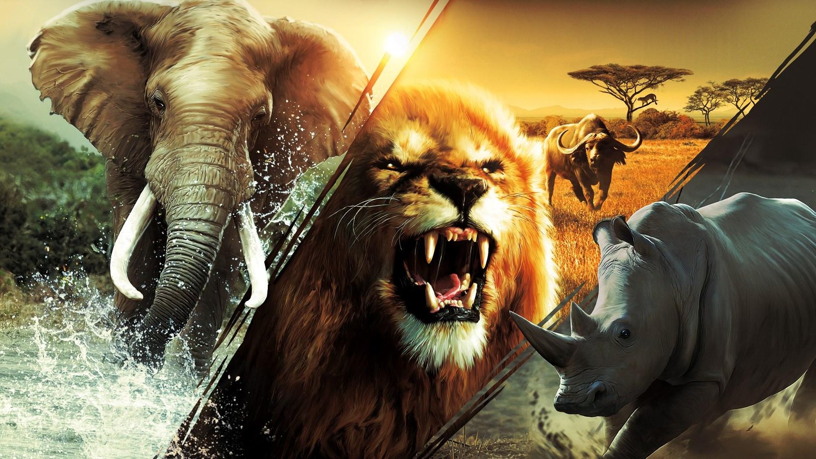 Portada de Cabela's African Adventures