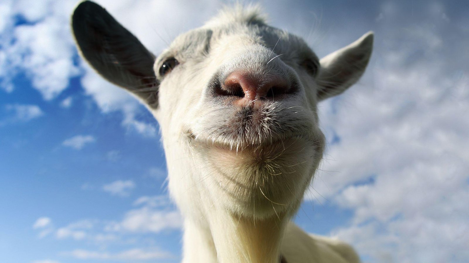 Portada de Goat Simulator