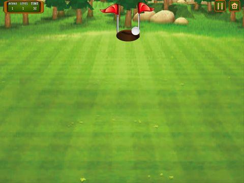 Portada de Golf Flick Crazy Extreme Course