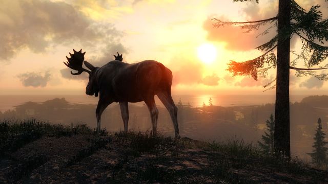 Portada de theHunter