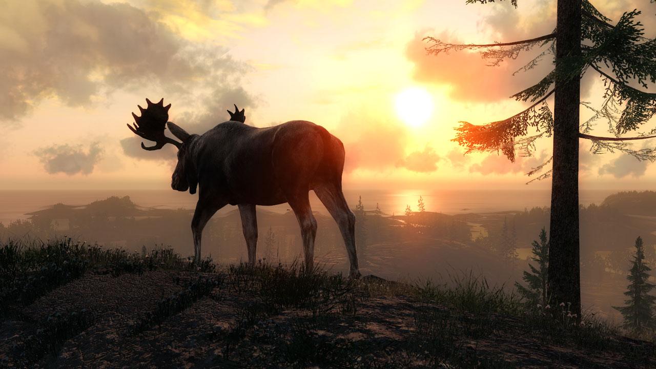 Portada de theHunter