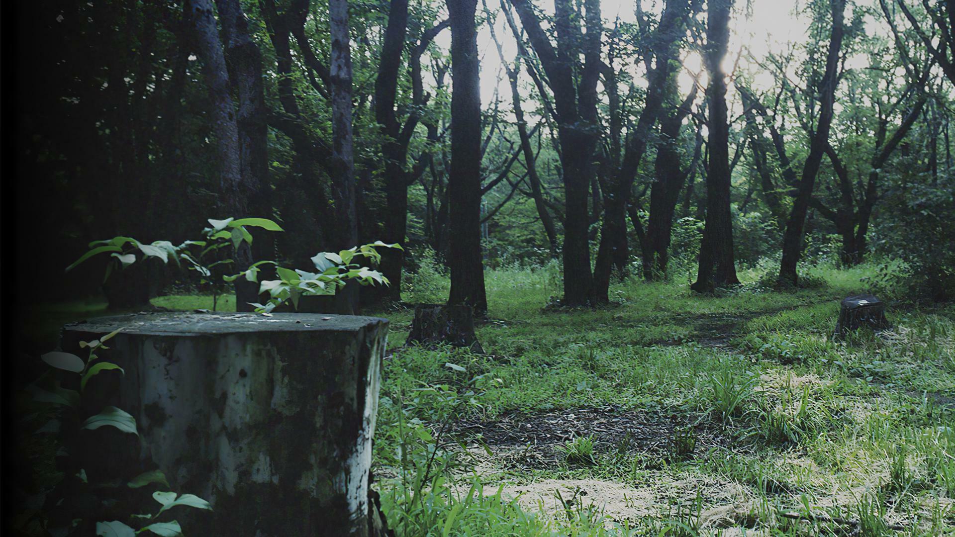 Portada de P.T.