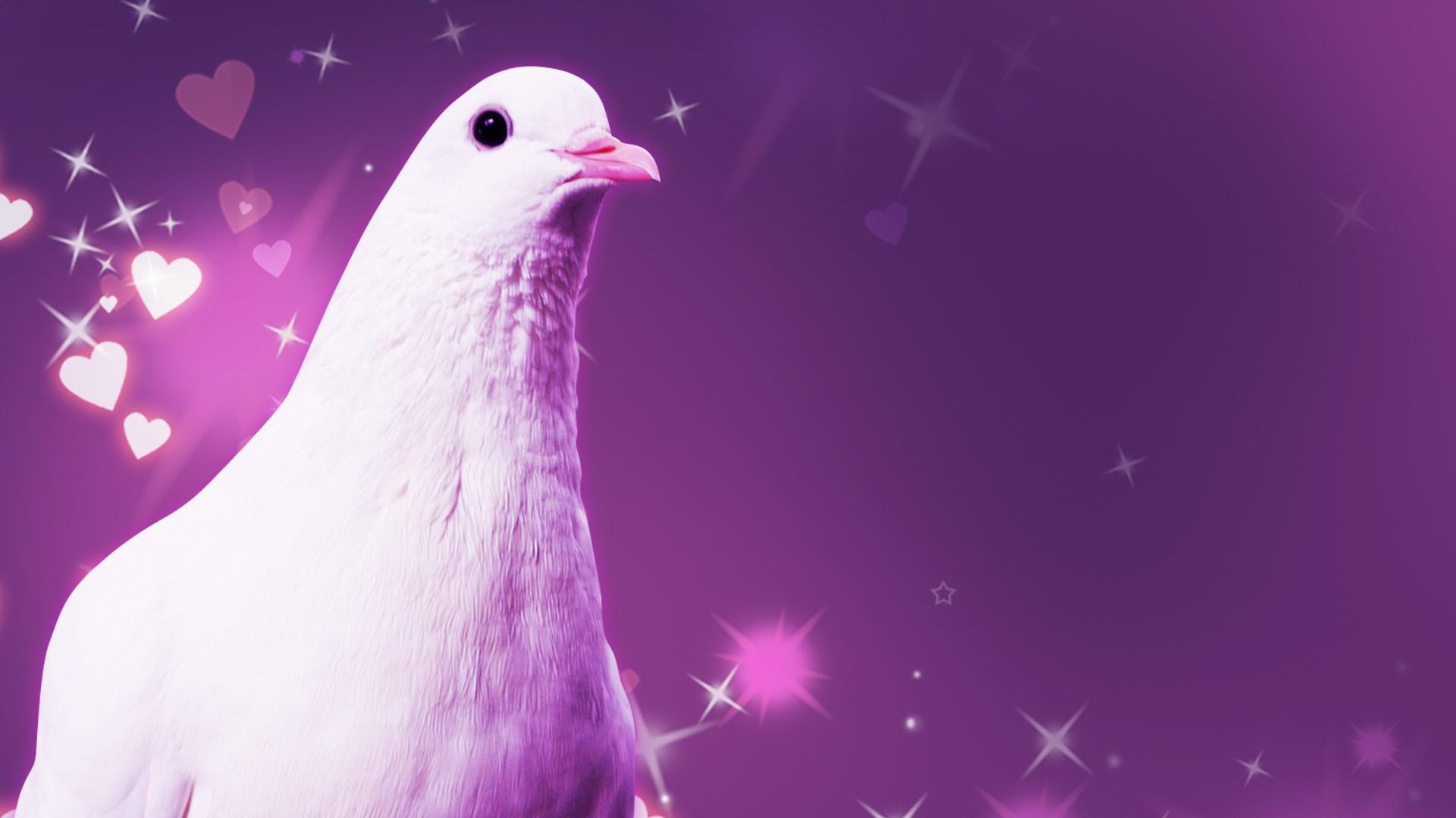 Portada de Hatoful Boyfriend