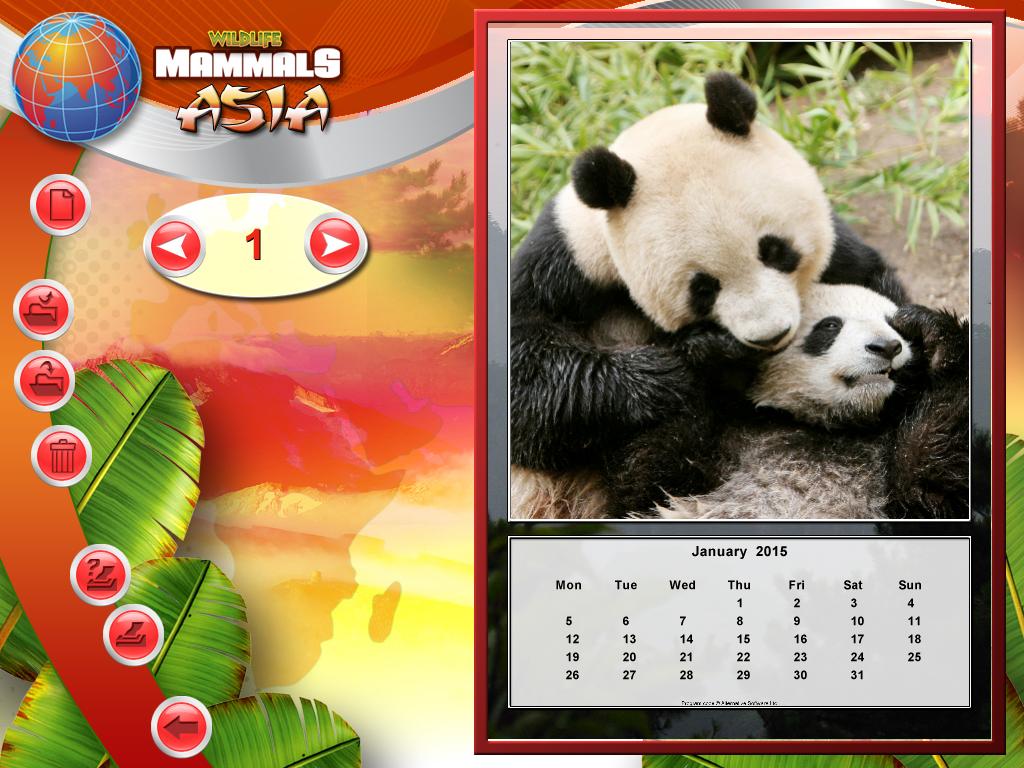 Portada de Wildlife Creative Studio