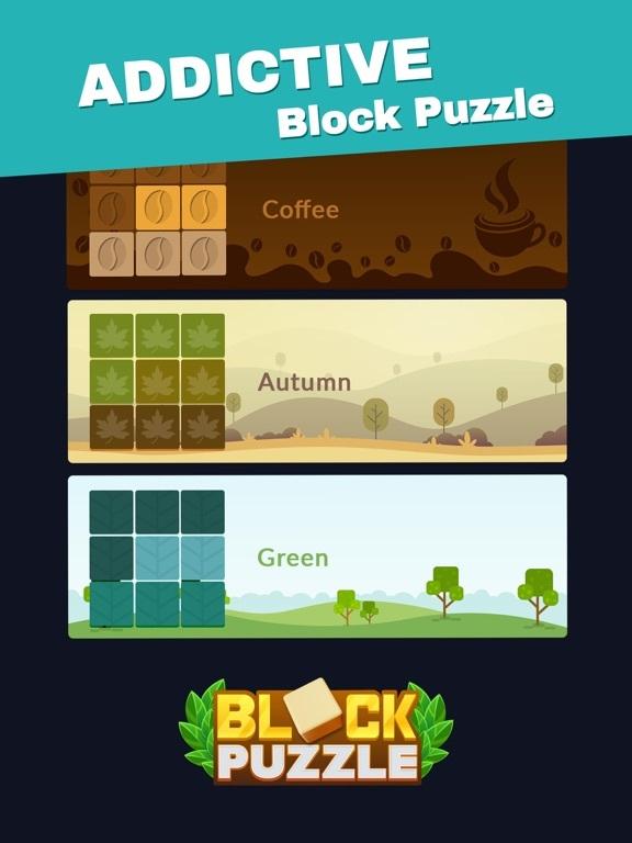 Portada de Block Puzzle ◰