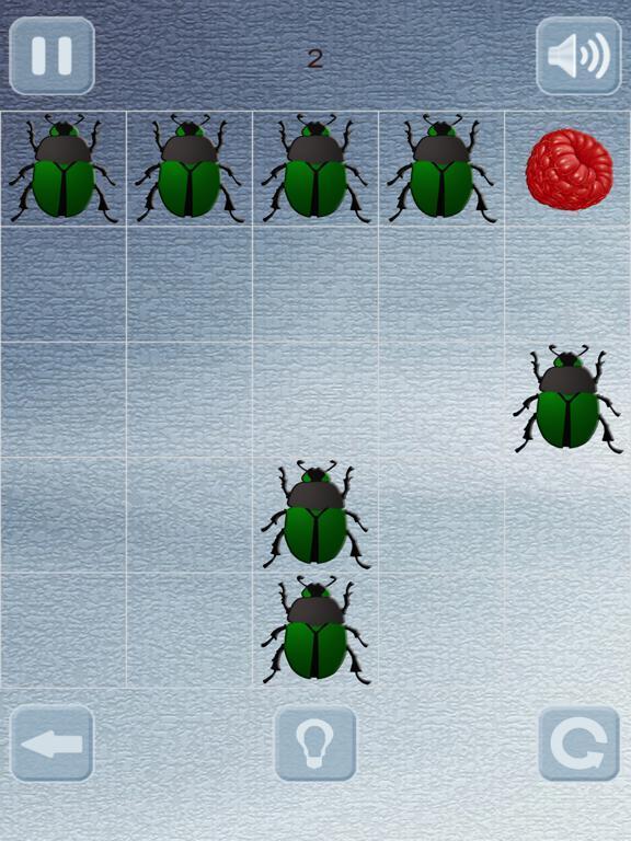 Portada de Berry puzzle