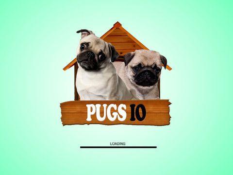 Portada de Pugs IO