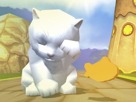 Portada de Cat Racing for Kids