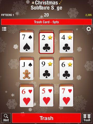 Portada de Christmas Solitaire Sage