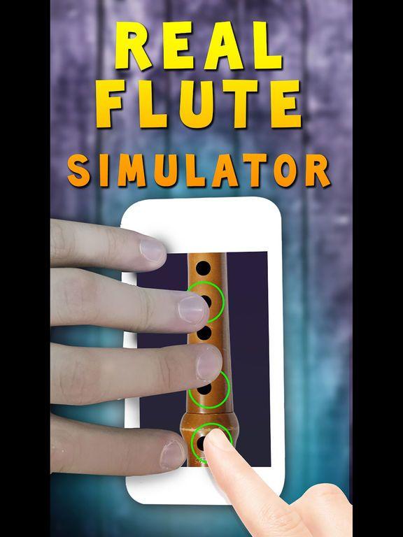 Portada de Real Flute Simulator
