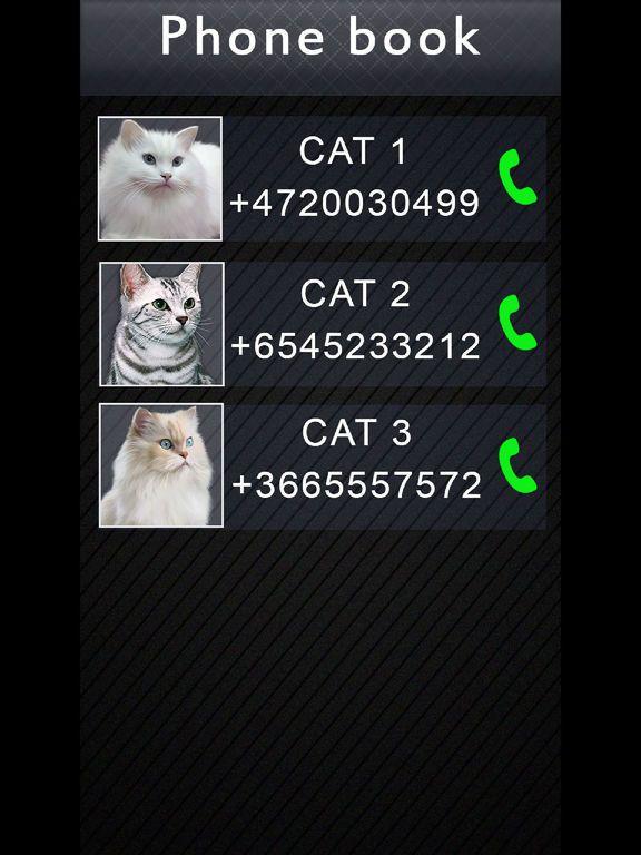 Portada de Fake Video Call Cat