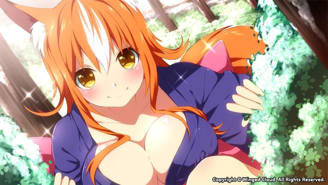 Portada de Sakura Santa