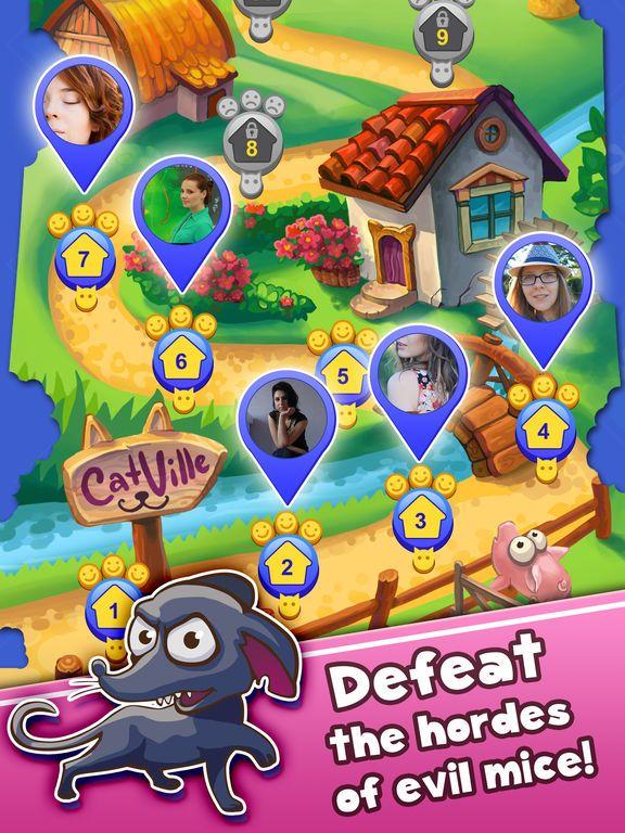 Portada de Cats & Cards