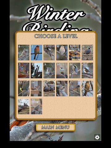 Portada de Hidden Scenes - Winter Birding