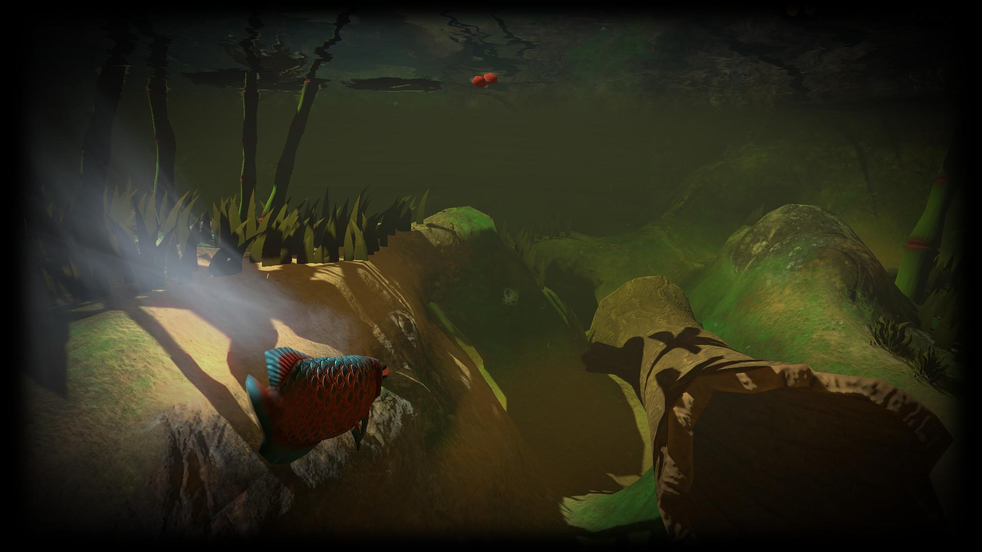 Portada de Feed and Grow: Fish