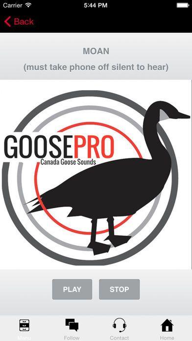 Portada de Goose Hunting Calls-Goose Sounds-Goose Call App