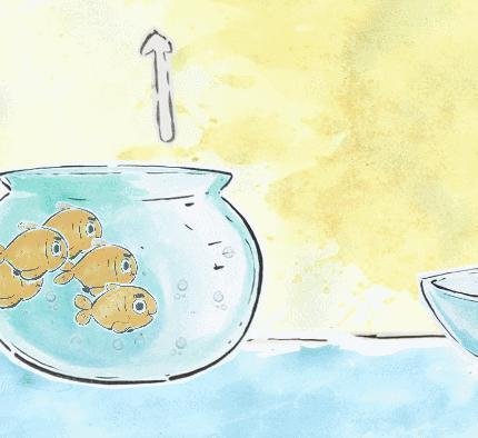 Portada de Out of Comfort