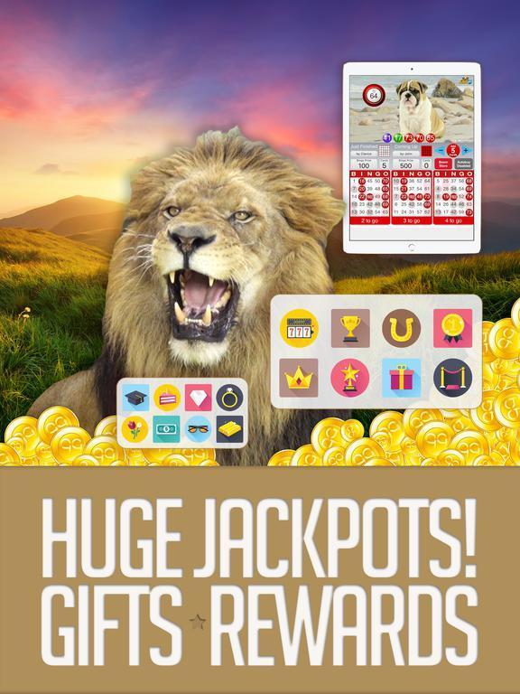 Portada de ANIMAL BINGO - Live Animal Bingo & Slots!