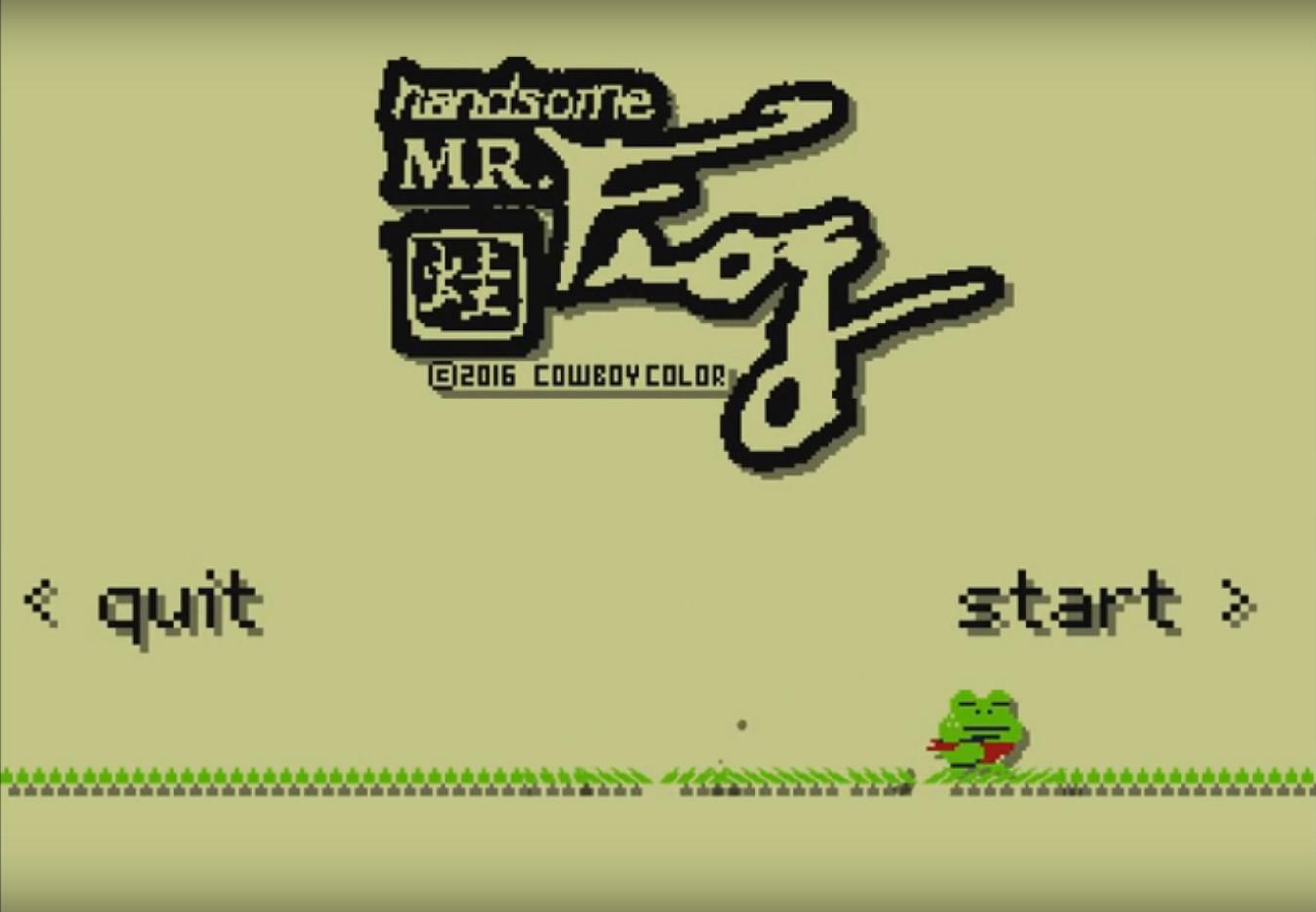 Portada de Handsome Mr. Frog