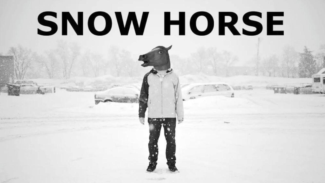 Portada de Snow Horse
