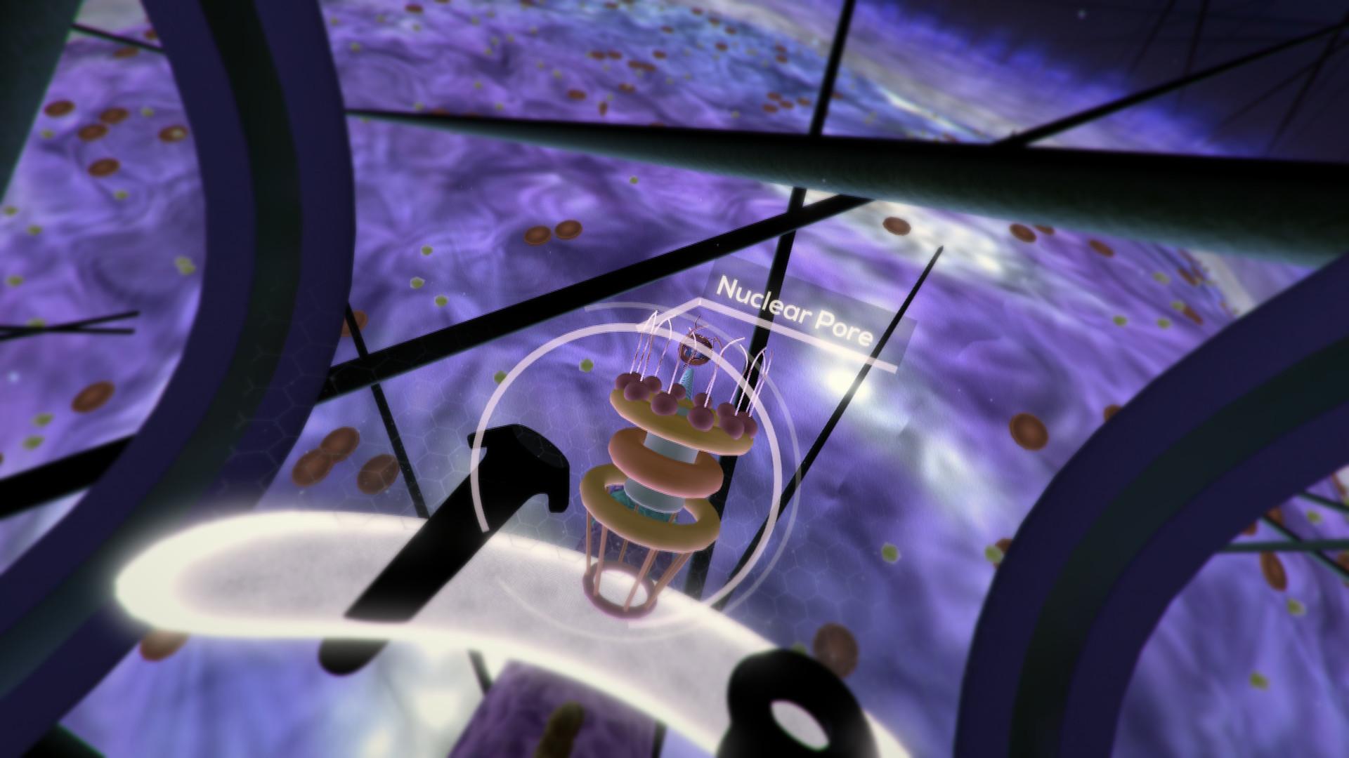 Portada de The Body VR: Journey Inside a Cell