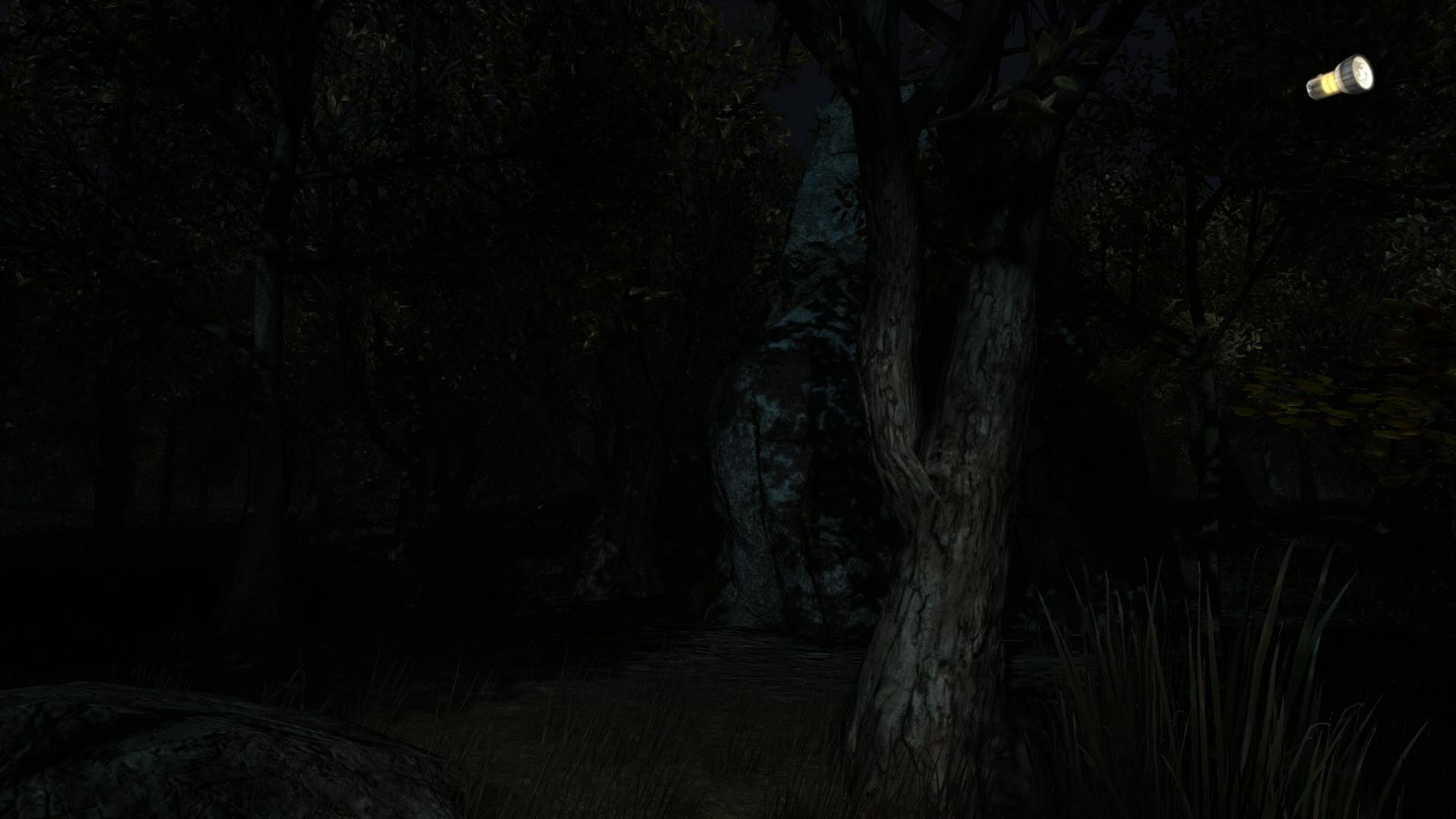 Portada de The Secret of Pineview Forest