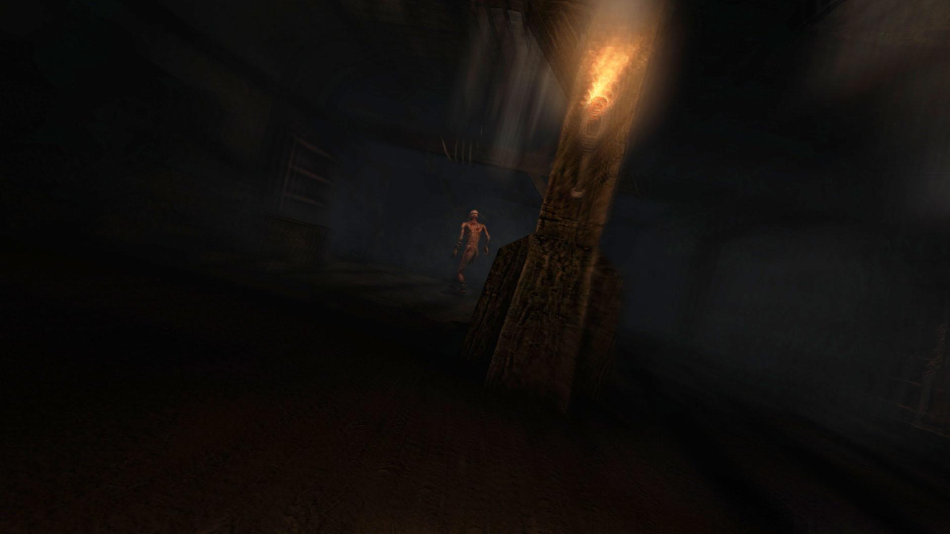 Portada de Amnesia: Collection